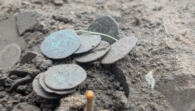На Полтавщині археологи знайшли скарб монет XIV століття