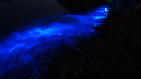 Океан нагрівається: вода вперше сягнула 20,96°C