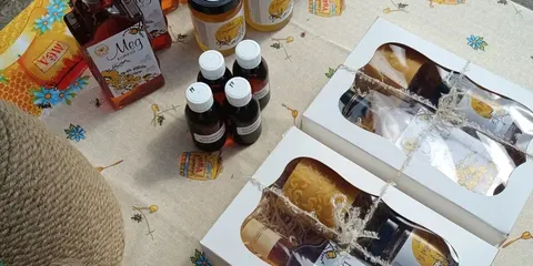 Пасічниця з Полтавщини: 20 років бджільництву та нові проєкти