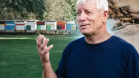 «Як люди без меду живуть, не знаю»: пасічник із Рівненщини тримає понад 150 вули