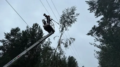 Негода залишила без світла чотири села на Великобагачанщині