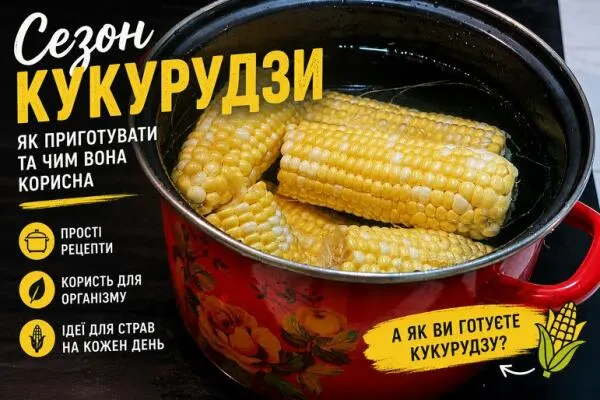 Сезон кукурудзи у Полтаві: як обрати, зварити та чим корисна