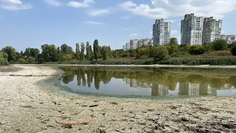 Пушкарівські ставки обміліли: депутати їдуть на місце шукати причину