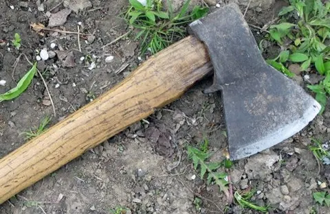 У полтавському Яру сокирою вбили бабусю: підозрюваний — колишній міліціонер