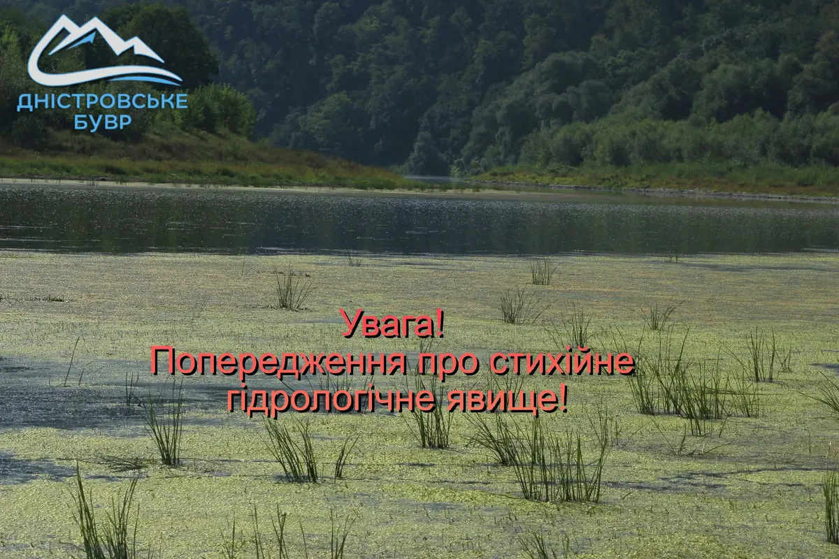 На Прикарпатті річки Дністра та Прута впали до історичних мінімумів