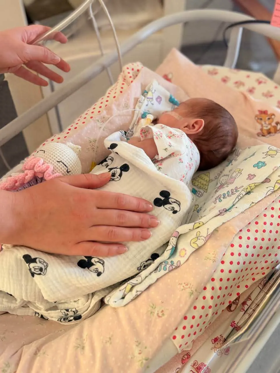 Квітка зі Львова: від 900 грамів до 2 кг за два місяці виходжування