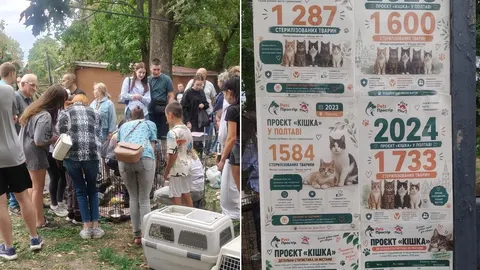 У Полтаві 28 котів знайшли нових власників під час виставки у парку «Перемога»