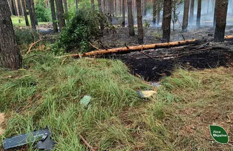 Через атаку дронів на Кременчуччині загорівся хвойний ліс