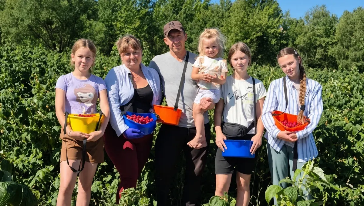 Втратив 300 гектарів на Харківщині — і вирощує ягоди на Волині: історія Сергія Ковшаря