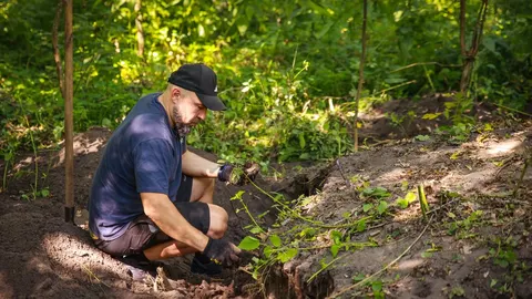 Ветерани долучилися до археологічних розкопок на Дніпропетровщині