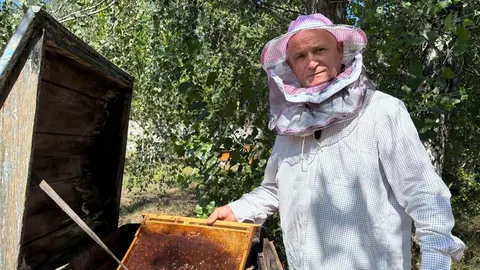 Пасічник із Малина: 46 років із бджолами та прогноз на менший врожай