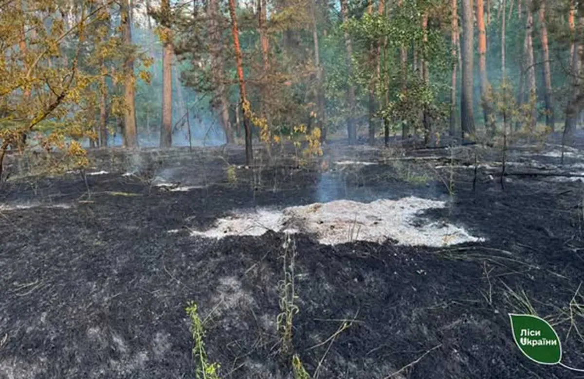 На Полтавщині ліквідували лісову пожежу через уламки дрона