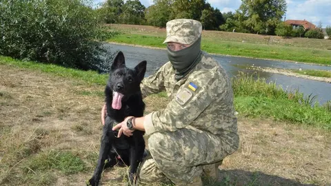 Прикордонник із Мукачева Дмитро та вівчарка Фаєр: служба, яка почалася після пор