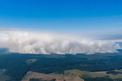 Бельгія бореться з найбільшою лісовою пожежею в історії