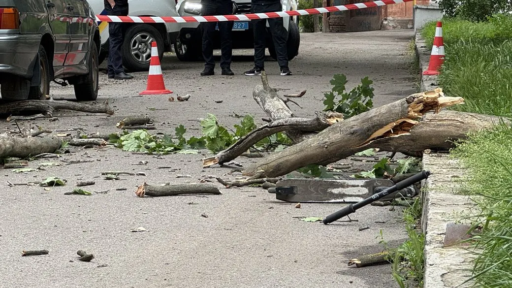 У Полтаві виділять ще 200 тисяч на лікування хлопчика, постраждалого від падіння гілки